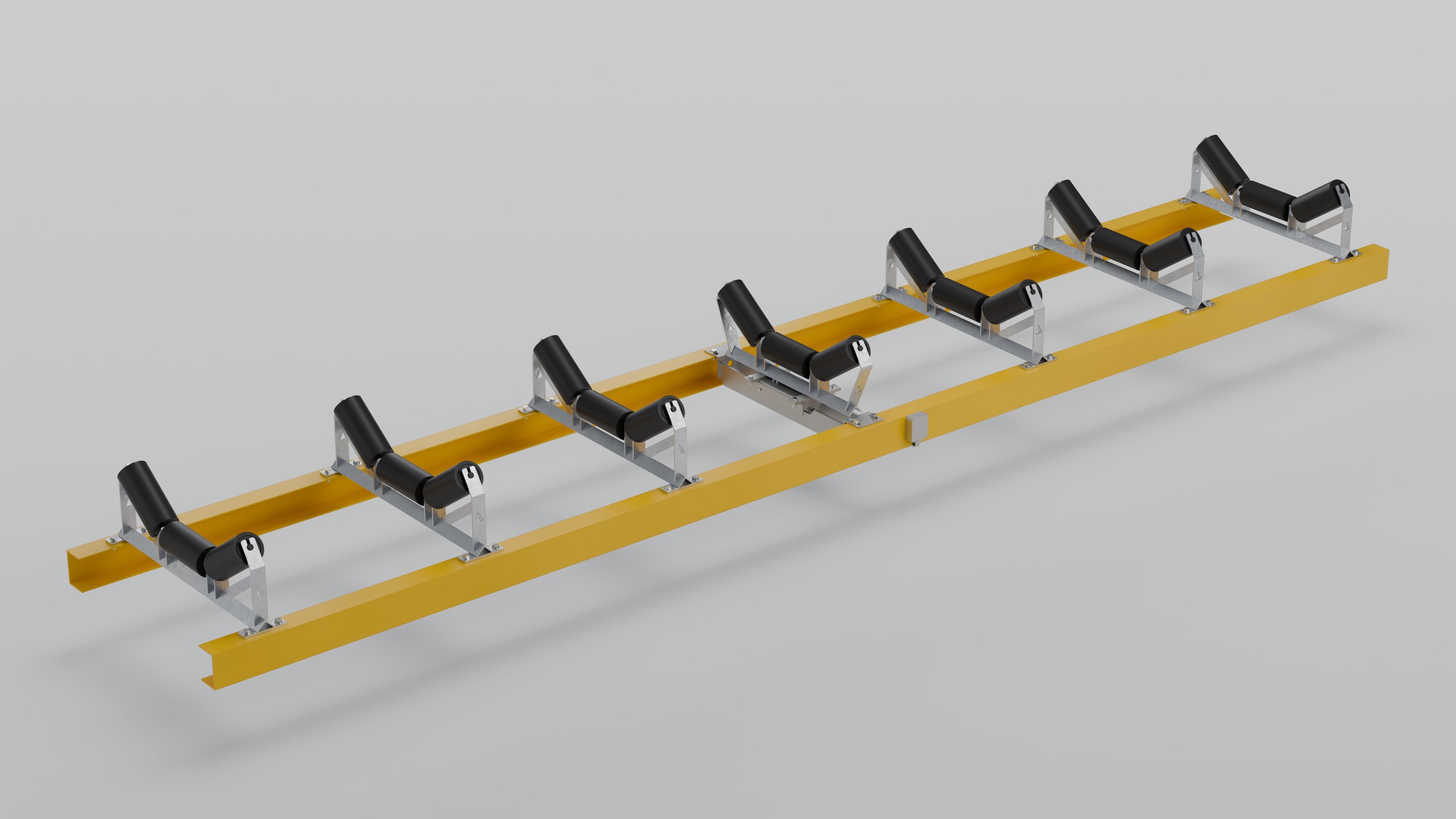 CBW1-1 compact belt weigher in the conveyor with idlers either side